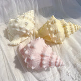 Big Sea Shell Candle Molds