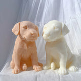 Dalmatian Puppy Dog Candle Mold