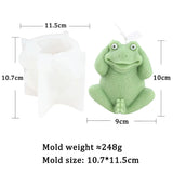 Silly Frog Candle Mold