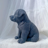 Rottweiler Puppy Dog Candle Mold